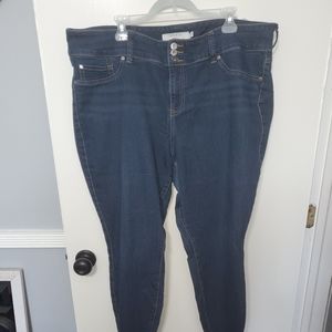 Torrid Jegging Medium Wash